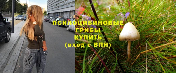 бутират Елизово