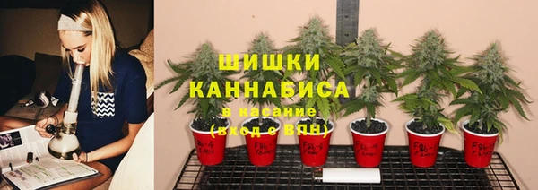 кокаин премиум Ельня