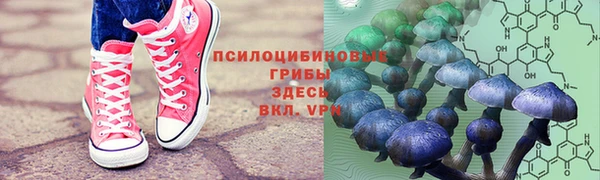 бутират Елизово