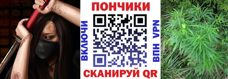Купить где  Мценск  Бошки Шишки тримм 